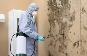 Reliable Indiantown, FL Mold Prevention & Removal  Solutions